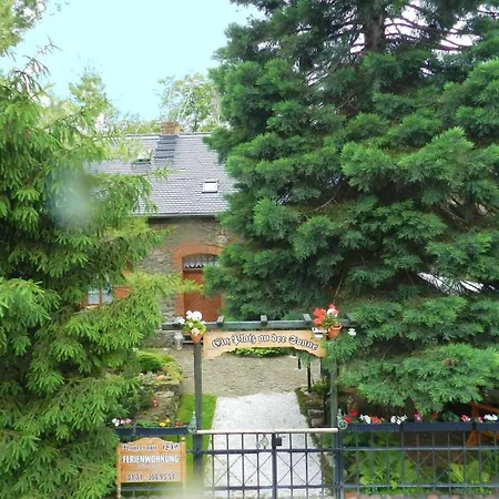 Appartement - Wasserkunst 